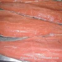 Frozen Chum Salmon Fillets