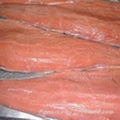 Frozen Chum Salmon Fillets