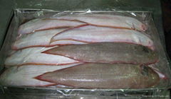 Frozen Tongue Sole Fish Whole Round