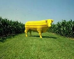 yellow corn