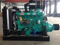 Weifang Ricardo diesel engine with