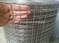 stainless steel welded wire mesh ss304