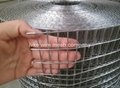 ss304 stainless steel welded mesh stainless steel welded wire mesh 2