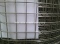ss304 stainless steel welded mesh stainless steel welded wire mesh 3