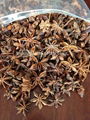 star anise 1