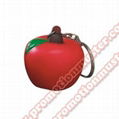 PK0010 fruit shape with key ring cheap advertising gift custom design welcomed   2