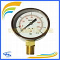 Y63 1.6bar Back Connection Standard Pressure Gauge 2