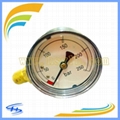 Y50 Left Connection Pressure Gauge 250BAR 1