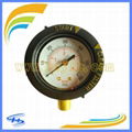 Y53 4BAR/60PSI Bottom Connection Pressure Gauge 1