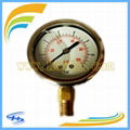 Y63 7BAR/100PSI Liquid Filled Gauge