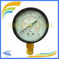 Y63 2.5MPA/350PSI Liquid Filled Gauge Back Connection 3