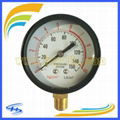 Y50 10KG/150PSI Pressure Gauge Bottom