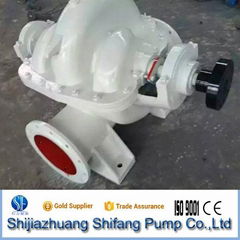 Double Suction Pump