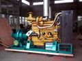 Diesel Pump 4