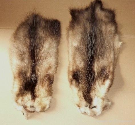 250 pieces natural color american opossum fur skins for 1.- EUR