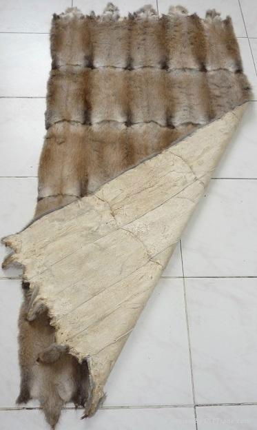 Muskrat belly fur plates 60x120 cm 2