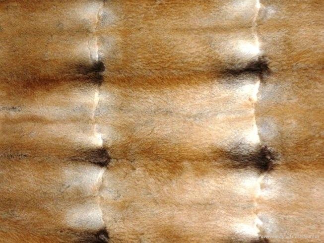 Muskrat belly fur plates 60x120 cm 3