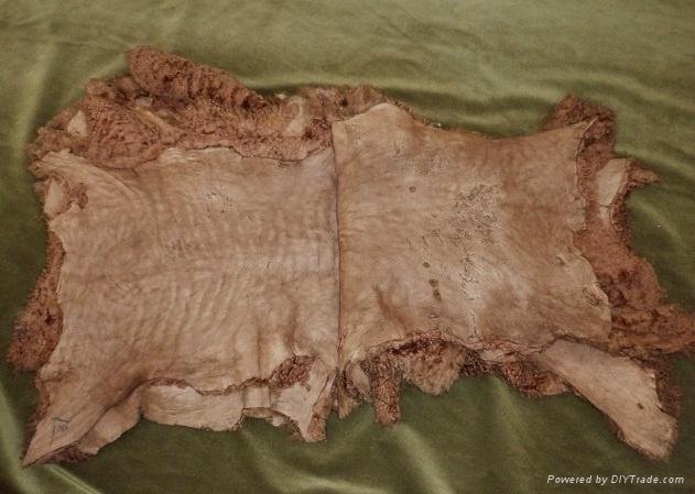 185 pieces dressed La plate lamb skins, brown dyed