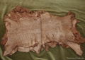 185 pieces dressed La plate lamb skins, brown dyed 1