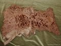 185 pieces dressed La plate lamb skins, brown dyed 2