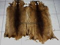 1100 pieces nutria dressed fur skins for