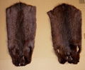 1100 pieces nutria dressed fur skins for very cheap price 3