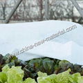 PP Spunbond Non Woven Fabric for Agriculture 2