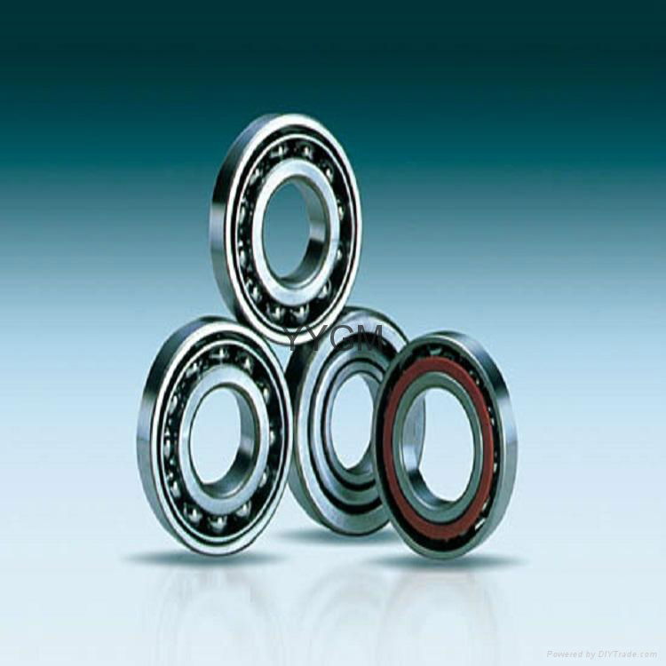 Deep groove ball bearing 4