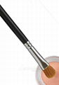 makeup brush 3