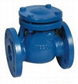  Check Valve  swing check valve 1