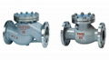 Check Valve  Flange Check Valve