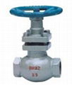  Globe Valve  Plunger Type Globe Valve 1