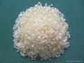 Thermalplastic C5C9 Copolymerized