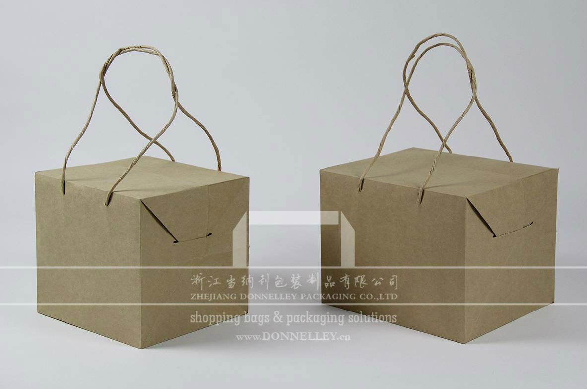 Box Style Creative Paper Bag with Handles