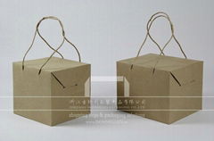 Box Style Creative Paper Bag with