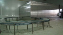 fast freezing conveyor