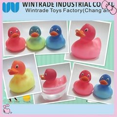 color chaniging rubber bath duck in hot water