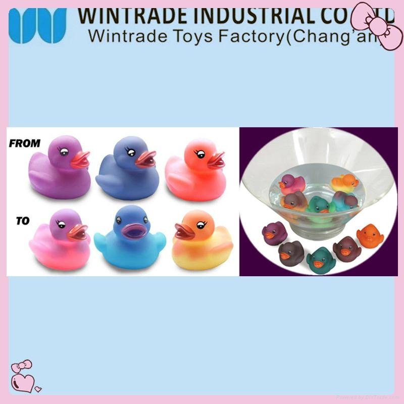 color chaniging rubber bath duck in hot water 37 degree 4