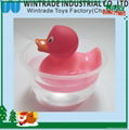 color chaniging rubber bath duck in hot water 37 degree 3