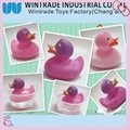 color chaniging rubber bath duck in hot water 37 degree 2