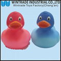 color chaniging rubber bath duck