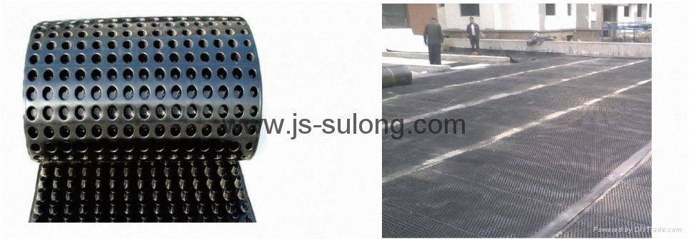 PE/EVA Waterproofing Coiled Material   