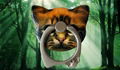 Anti-Drop Anti-Theft Anti-Slip Pet Cat Ring Bracket Stand Ring Buckle Holder 11