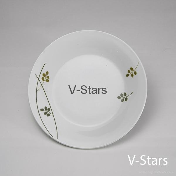 F16 Plate with Natural Flower Design