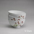 Rice Bowl with Nature Flower Design 4