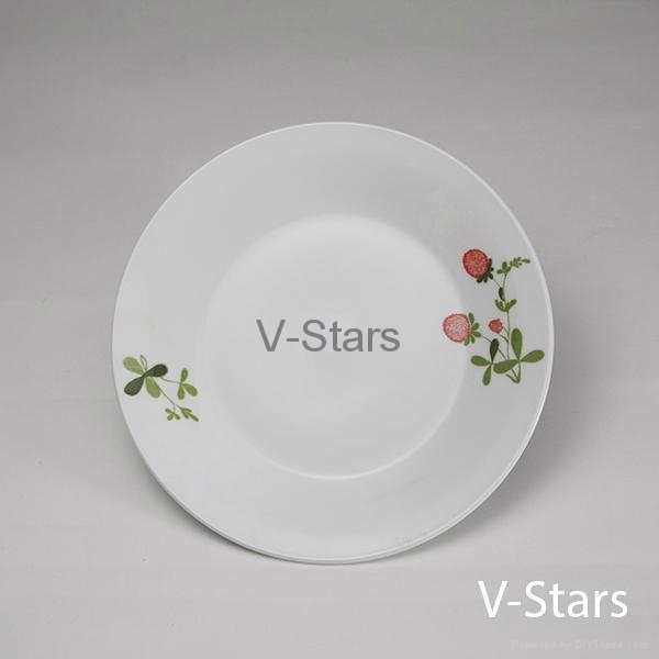F16 Plate with Natural Flower Design 2