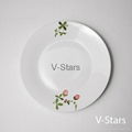 F20 Plate with Natural Flower Design