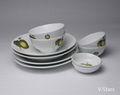 Dinnerware Set with Green Apple Design