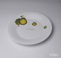 Dinnerware Set with Green Apple Design 5