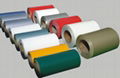 Colorbond fencing 3